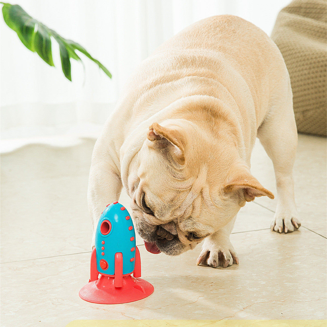 Rocket Dog Toy – Fun, stimulation and durability