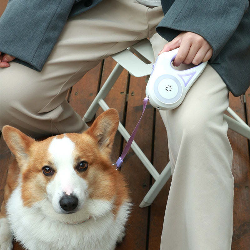 Retractable Dog Leash – Freedom of movement, total control