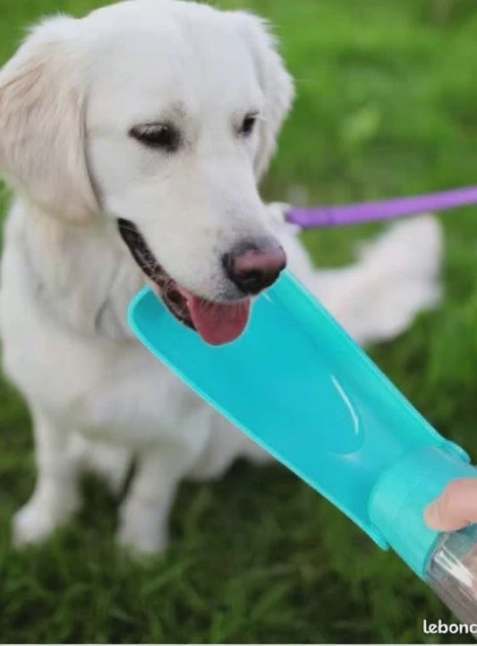 Gourde pour Chien – Hydratation facile, partout et à tout moment